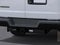 2025 Chevrolet Express Passenger 1LS
